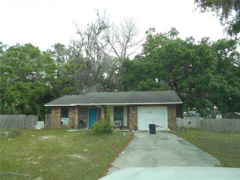 217 SE 118 AVENUE, OLD TOWN, FL 32680