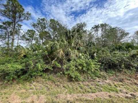 305 WILDWOOD DRIVE, LAKE PLACID, FL 33852