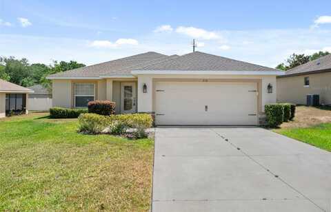 216 GOLDIE STREET, LEESBURG, FL 34748