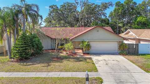 1623 CARTER OAKS DRIVE, VALRICO, FL 33596