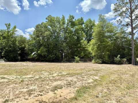 15060 SW 29TH STREET, OCALA, FL 34481