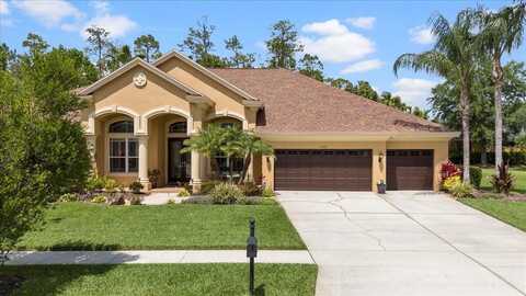 27447 WATER ASH DRIVE, WESLEY CHAPEL, FL 33544