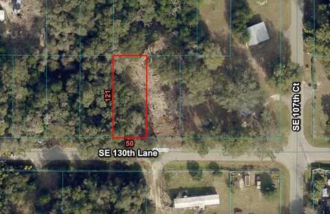 10691 SE 130 LANE, OCKLAWAHA, FL 32179
