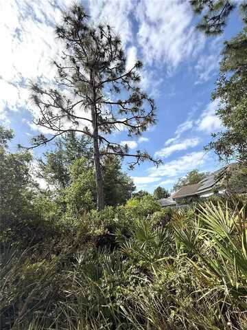 0 MARICOPA DRIVE, KISSIMMEE, FL 34758