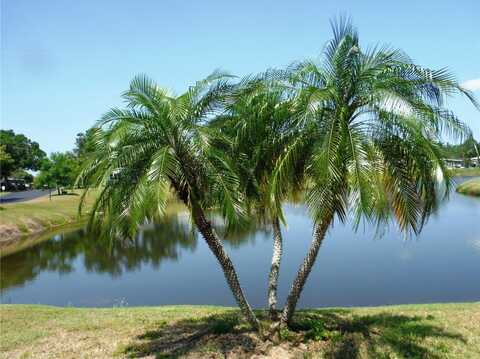 84 COTTAGEWOOD DRIVE, SAFETY HARBOR, FL 34695