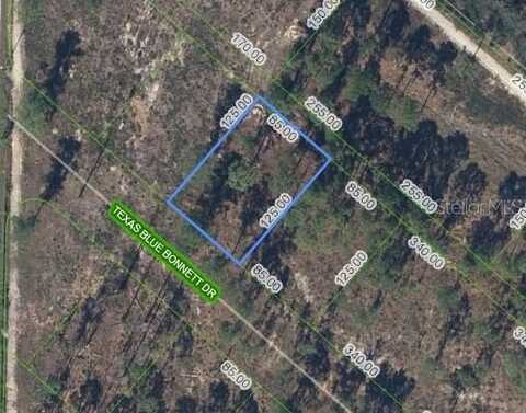 6139 TEXAS BLUE BONNETT DRIVE, SEBRING, FL 33876