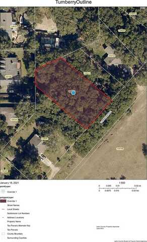 TURNBERRY AVENUE, SORRENTO, FL 32776