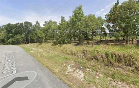 0 LOCUST PASS RUN, OCALA, FL 34472
