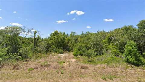 228 HALLMARK AVENUE, LAKE PLACID, FL 33852
