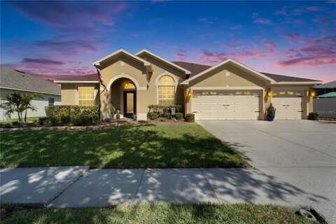 11018 WILDCAT DRIVE, RIVERVIEW, FL 33569