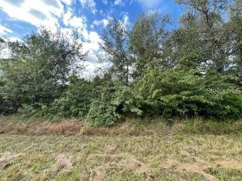 115 MARSHALL AVENUE, LAKE PLACID, FL 33852