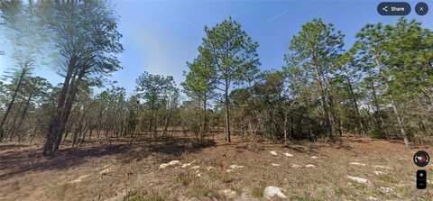 Tbd SW 124 TERRACE ROAD, OCALA, FL 34481