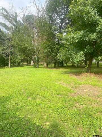 Blancas, TYLER, TX 75709