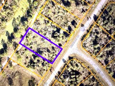 BLUELEAF DRIVE, NORTH PORT, FL 34288