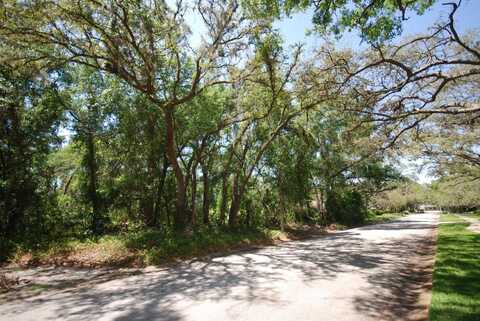 2905 CHELSEA WOODS DRIVE, VALRICO, FL 33596