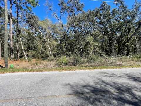 5885 SE 170 COURT, OCKLAWAHA, FL 32179