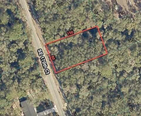 5885 SE 170 COURT, OCKLAWAHA, FL 32179