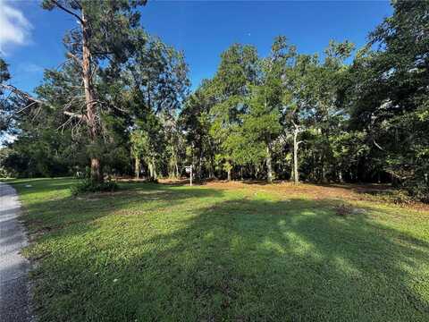 1103 SAVANNAH OAKS DRIVE, BROOKSVILLE, FL 34602