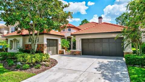 11624 BRISTOL CHASE DRIVE, TAMPA, FL 33626