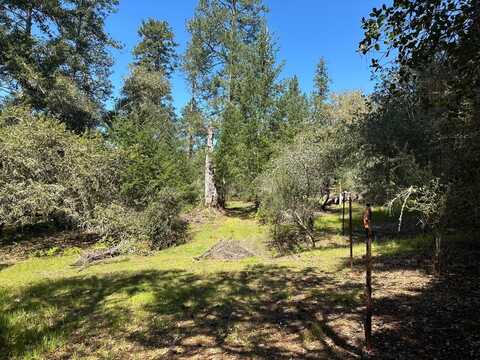 000 Hidden Glen DR, SCOTTS VALLEY, CA 95066