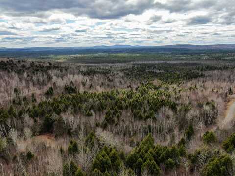 Lot 16 Upper Dobsis Road, Lakeville, ME 04487