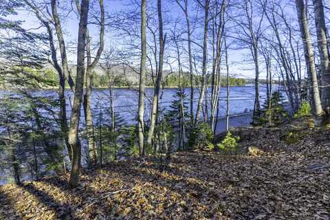 Lot10-1 Scotts Hill/Randall Loop, East Machias, ME 04630