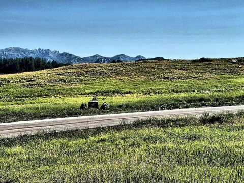 Lot 3 bl2 Stone Hill, Custer, SD 57730