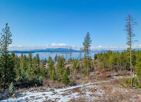 Nhn Liebig Lane, Polson, MT 59860