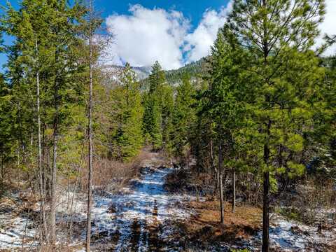 Nhn Liebig Lane, Polson, MT 59860