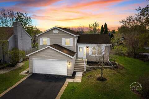 2717 Briarwood Court, Woodridge, IL 60517