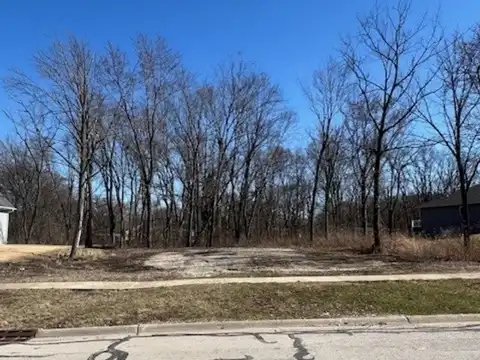 25401 S Copper Leaf Drive, Channahon, IL 60410