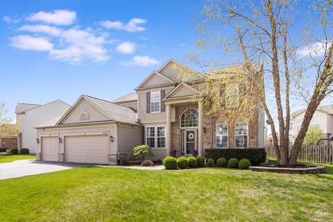 24137 Newcastle Street, Plainfield, IL 60585