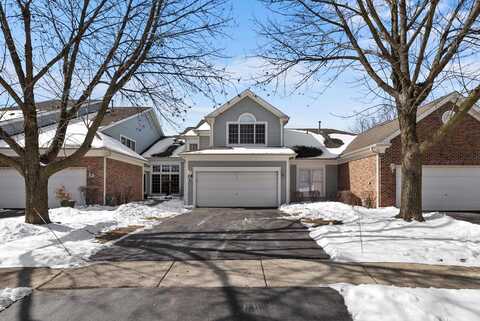 289 Ripplebrook Court, Schaumburg, IL 60173