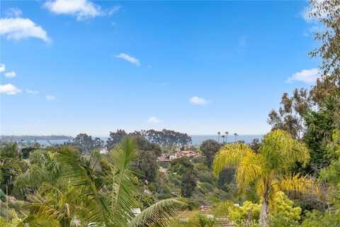 33046 Ocean Ridge, Dana Point, CA 92629