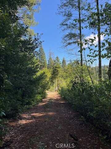 0 Juniper Lane, Strawberry Valley, CA 95981