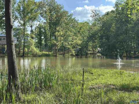 1725 County Road 182, Cedar Bluff, AL 35959
