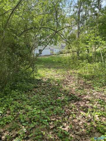 .17 Clayton Avenue, Gadsden, AL 35904