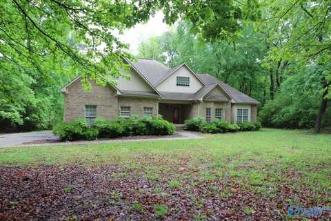 730 John Cabaniss Road, Langston, AL 35755