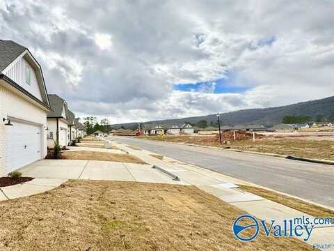 6028 Gardner Maples Drive, Owens Cross Roads, AL 35763
