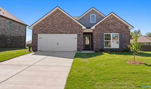4833 Benjamins Bloom Loop, Huntsville, AL 35810