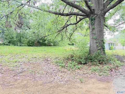 5 & 6 Coffee Street, Scottsboro, AL 35768