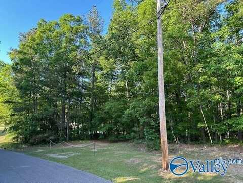Lot 139 & 140 Boyd Drive, Gadsden, AL 35901