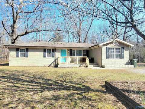 663 Mulberry Road, Hazel Green, AL 35750