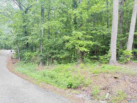 Lot 72 Holiday Shores Road, Scottsboro, AL 35769