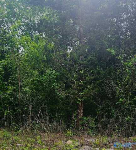 2.0 Acres County Road 84, Danville, AL 35619