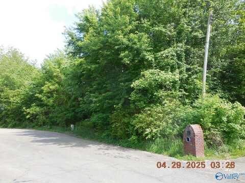 220 Jamie Lane, Toney, AL 35773