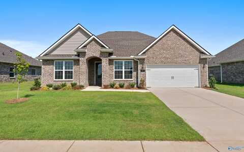 107 Lucy Lynn Boulevard, Meridianville, AL 35759