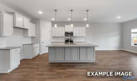 107 Lucy Lynn Boulevard, Meridianville, AL 35759