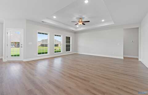 107 Lucy Lynn Boulevard, Meridianville, AL 35759