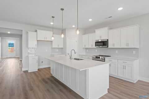 107 Lucy Lynn Boulevard, Meridianville, AL 35759